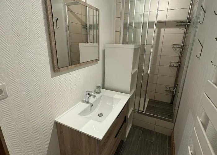 Lauvitel - C5 - Appt Duplex Pied De Piste - 8 Pers 莱德萨阿尔卑斯