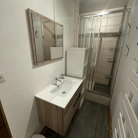 Lauvitel - C5 - Appt Duplex Pied De Piste - 8 Pers Les Deux Alpes