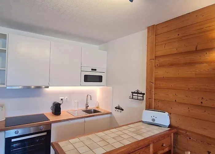 Lauvitel - C5 - Appt Duplex Pied De Piste - 8 Pers Ле дез Альп